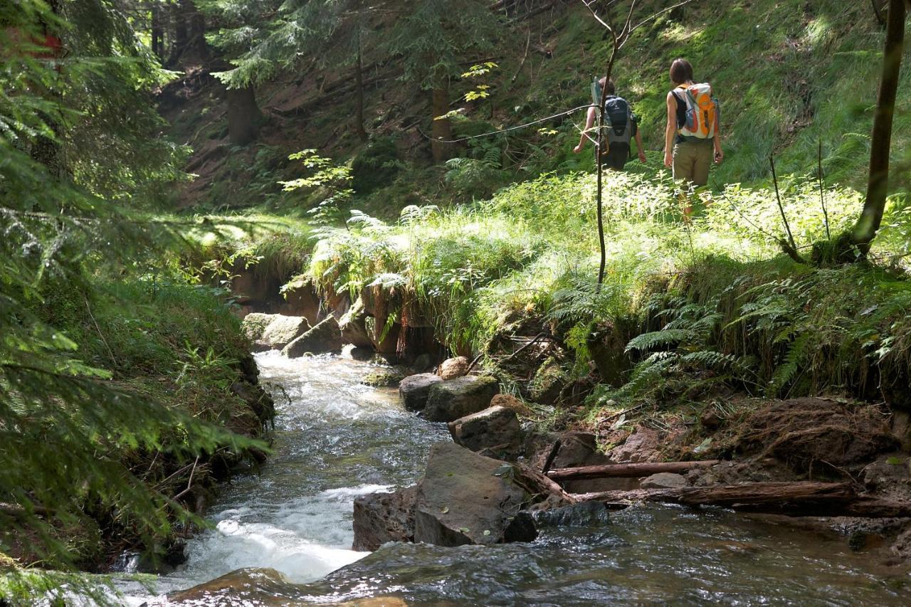 Fh Am Osterbrunnen Hotel Hinterhermsdorf Ngoại thất bức ảnh